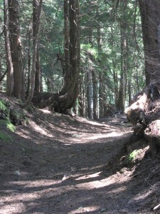 Snoqualmie Wagon Road_20090721_001 (1)